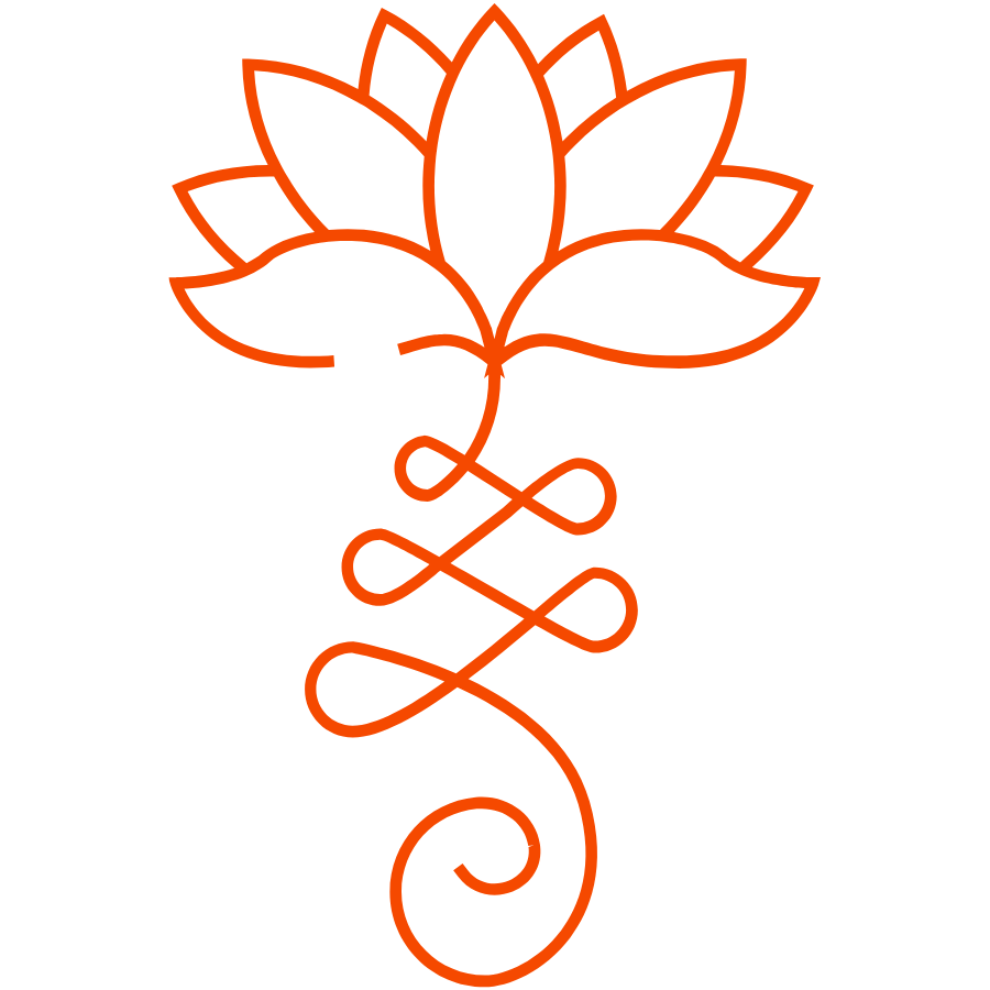 Sanyam icon